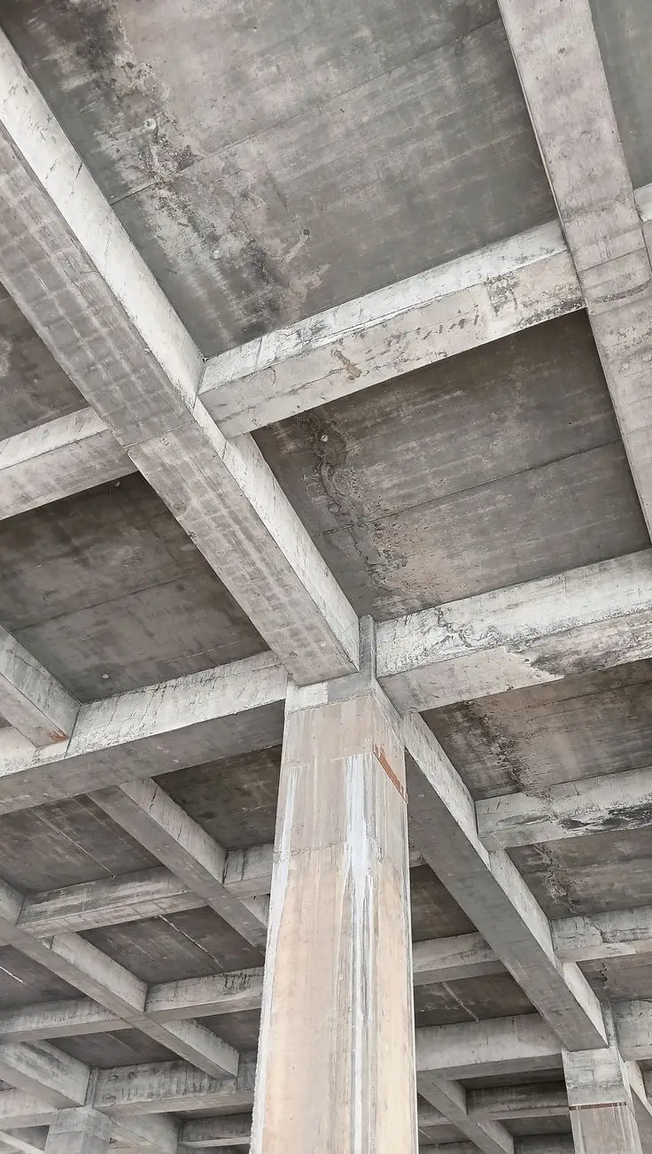 Servicio de: Estructura y Obra gris